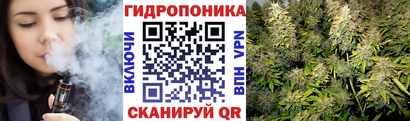 Бошки Шишки конопля  Пыталово 